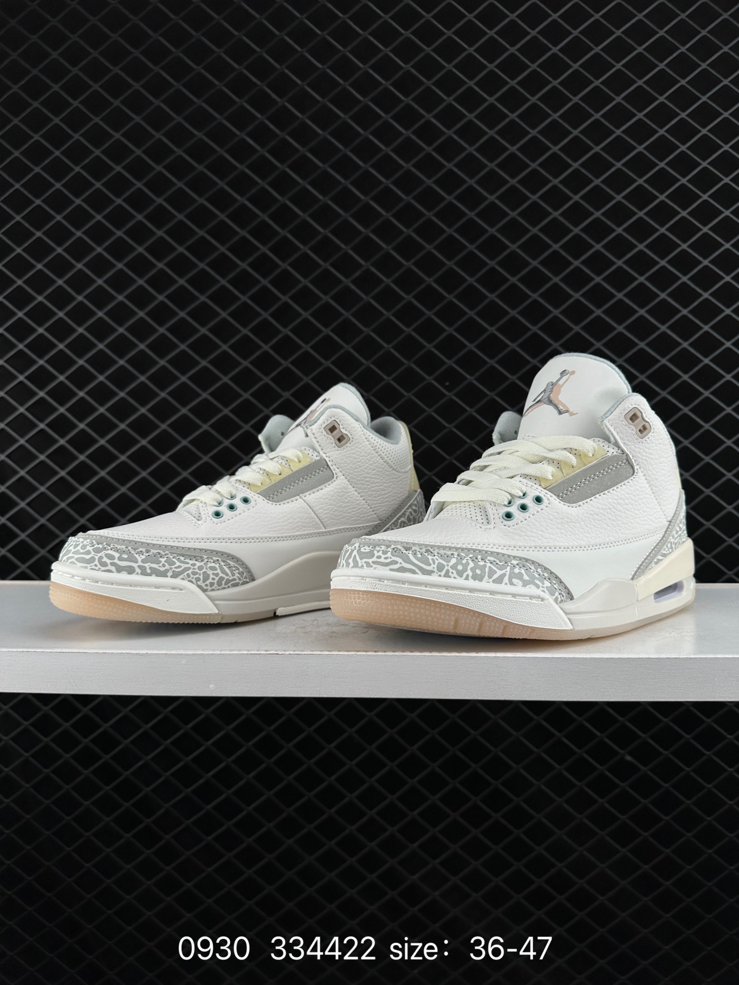Nike Air Jordan 3 Retro SE